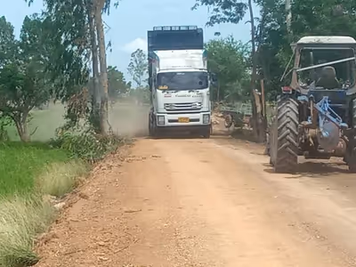 ภาพแกลลอรี่ 4